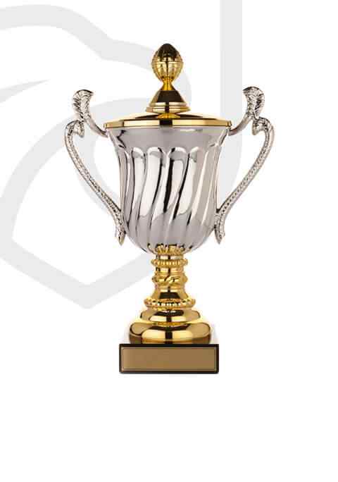 https://freedomselfmade.com/wp-content/uploads/2022/11/trophy_overlay_02.jpg